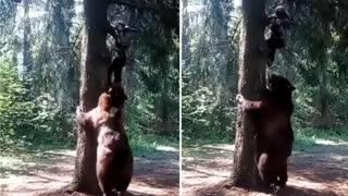 Если бы это не Сняли на Камеру, Никто бы не Поверил