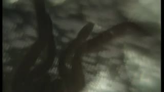 Не может быть! Сезон 1. Серия 59