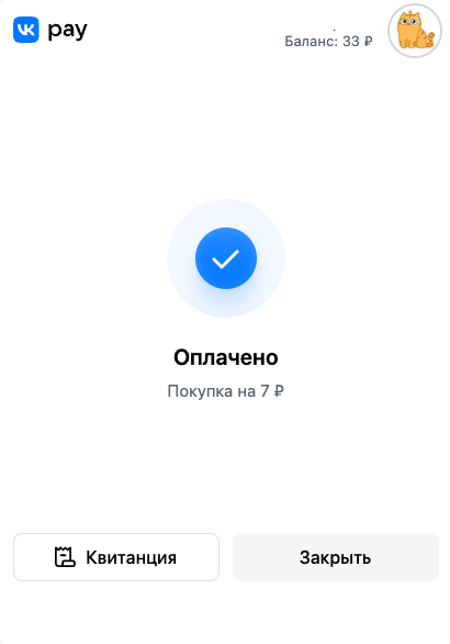 Payment window VK Pay