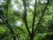 Люба Матвієнко фотография #49 (источник - https://vk.com/id66661257)