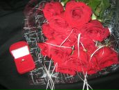 Фотография Китаев Константин