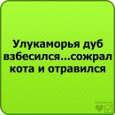 Ірина Ярміцька фотография #38 (источник - https://vk.com/id124413402)