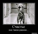 Вікочка Шелемба фотография #15 (источник - https://vk.com/id70260429)