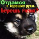 Марішка Руцька фотография #26 (источник - https://vk.com/id157698249)