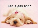 Аліна Трухим фотография #27 (источник - https://vk.com/id56670259)