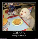 Віталік Вольт фотография #39 (источник - https://vk.com/id2228781)