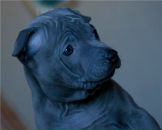 Фотография Горшковой Анны