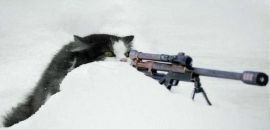 Фотография Шайхутдинова Ильдара