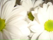 Фотография Морозовой Алёнки