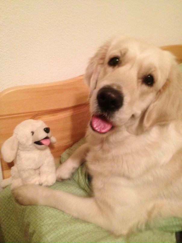 Яна Зыкова фотография #32