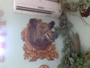 Олійник Ігор фотография #20 (источник - https://vk.com/id68645247)