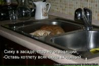 Світлана Краснопольська фотография #46 (источник - https://vk.com/id4002372)