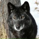 Віталій Іщенко фотография #36 (источник - https://vk.com/id60236626)