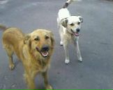 Льоля Качалівна фотография #2 (источник - https://vk.com/id86471193)