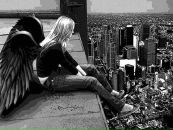 Фотография Плехановой Инны