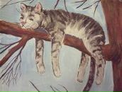 Фотография Кондратенко Аделии