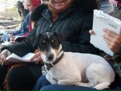 Фотография Мерзун Елены