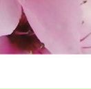 Анастасія Гудзак фотография #17 (источник - https://vk.com/id98965948)