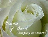 Віталій Поліщук фотография #21 (источник - https://vk.com/id30823184)