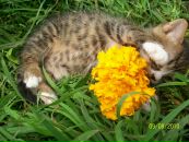 Іннуся Ануфрієва фотография #44 (источник - https://vk.com/id93938207)