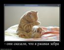 Nina Night фотография #15 (источник - https://vk.com/id99715286)