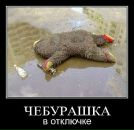 Олексій Маніла фотография #13 (источник - https://vk.com/id14696735)