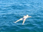 Фотография Николаева Антона