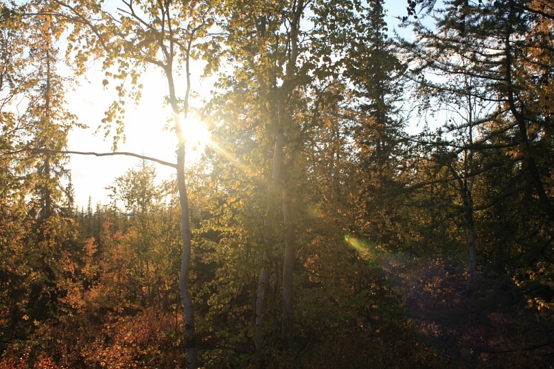 Сергей Маслов фотография #10