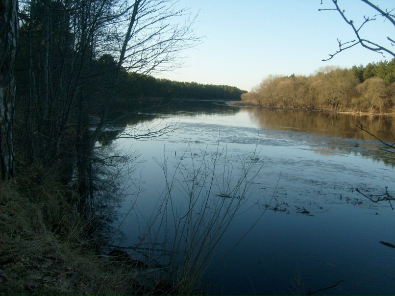 Ольга Мультан фотография #19