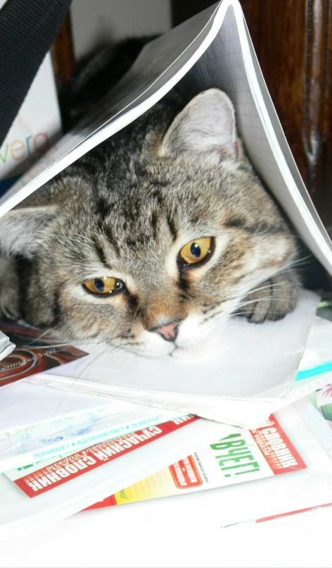 Надежда Василенко фотография #47