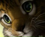 Фотография Храмова Дмитрия