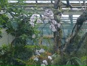 Світлана Савіцька фотография #35 (источник - https://vk.com/id91957355)