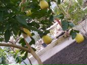 Світлана Савіцька фотография #36 (источник - https://vk.com/id91957355)