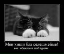 Фотография Магометовича Заура
