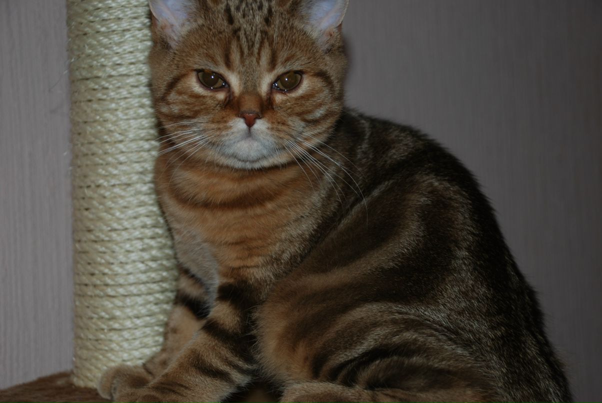 Сергей Ткаченко фотография #28