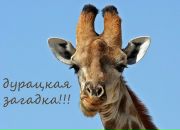 Фотография Владимировны Анны