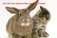 Андрей Пересідлий фотография #17 (источник - https://vk.com/id28768031)