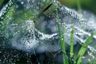 Елена Ром фотография #2 (источник - https://vk.com/id333399)