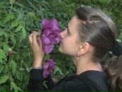 Фотография Гуцуляк Алены