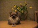 Хани Зосимова фотография #8 (источник - https://vk.com/id3201245)
