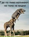 Діма Гринчак фотография #38 (источник - https://vk.com/id97294054)