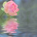 Фотография Зубаревой Светланы