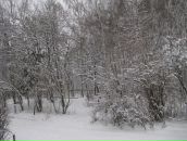 Мария Бильчук фотография #16 (источник - https://vk.com/id314305)