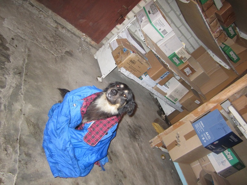 Lidia Lang фотография #30