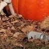 Артьом1к Твойласкавийзайка!!!!!====== фотография #4 (источник - https://vk.com/id147648234)