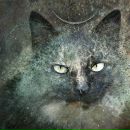 Оксана Бодяко фотография #34 (источник - https://vk.com/id46364940)