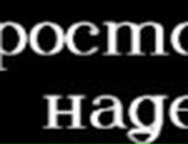 Дмитрий Писарев фотография #41 (источник - https://vk.com/id17475470)