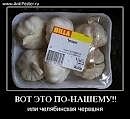 Василь Ілющенко фотография #48 (источник - https://vk.com/id137136493)