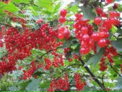 Фотография Мавричев Андрей