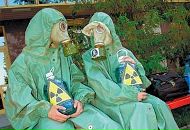 Фотография Кусты Какоя-То